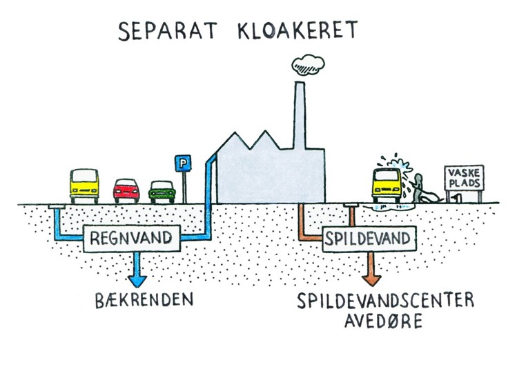 Illustration af separatkloakering: Spildevand fra husholdninger og virksomheder løber i et rør frem til rensningsanlægget, hvor det bliver renset før det ledes ud i Køge Bugt. Regnvand løber i et separat rør, hvor det bliver udledt direkte til vandmiljøet